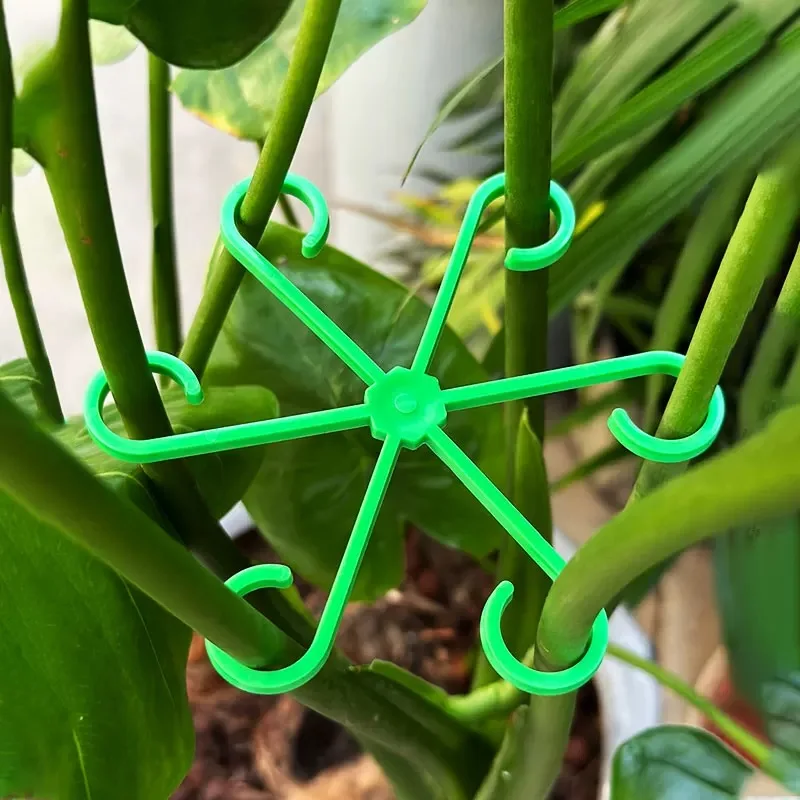 Flower Plant Stem Support Stak - đánh giá và giá Florist Supp