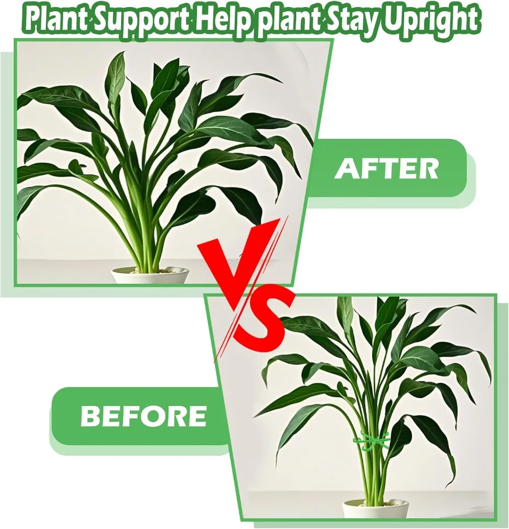 Flower Plant Stem Support Stak - đánh giá và giá Florist Supp