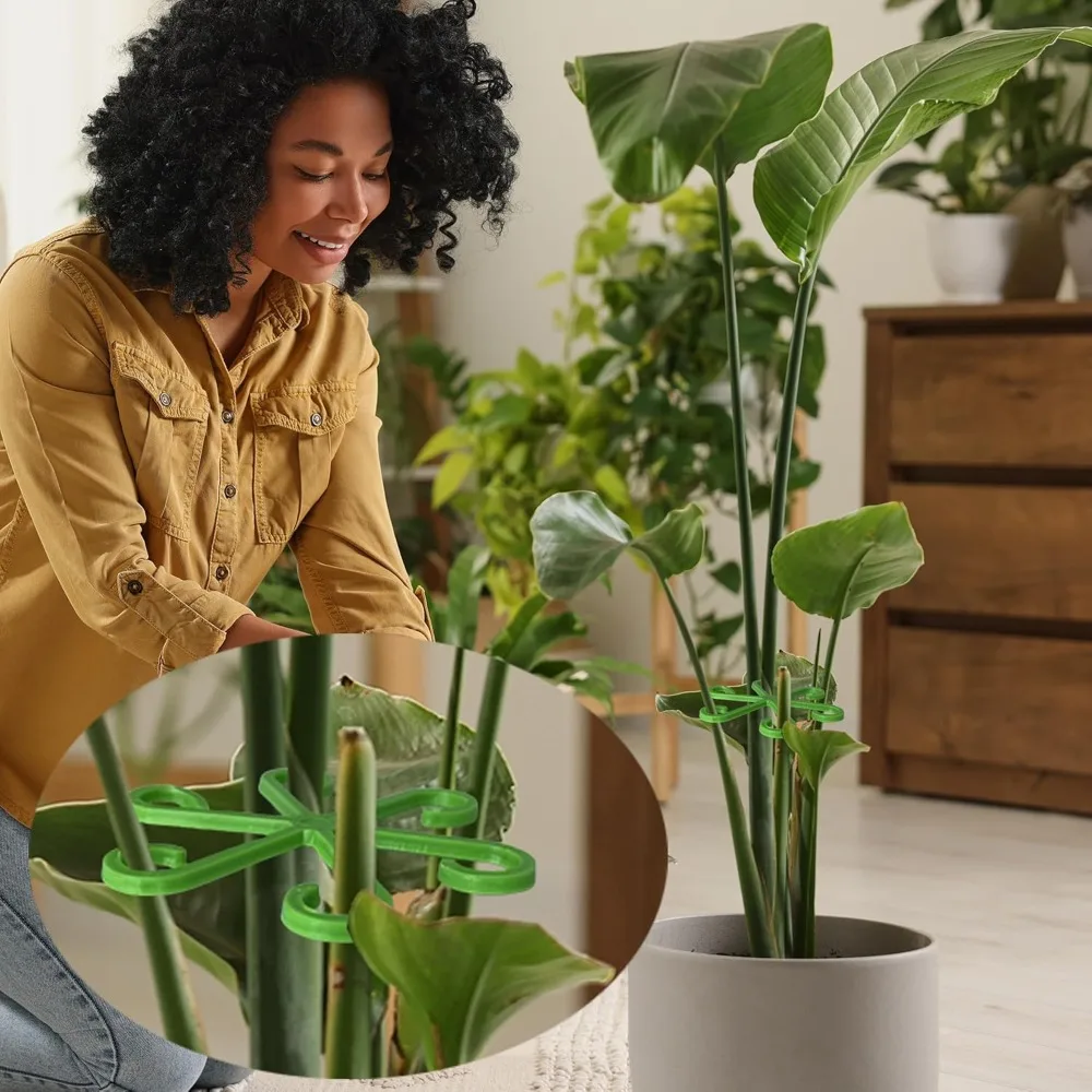 Flower Plant Stem Support Stak - đánh giá và giá Florist Supp