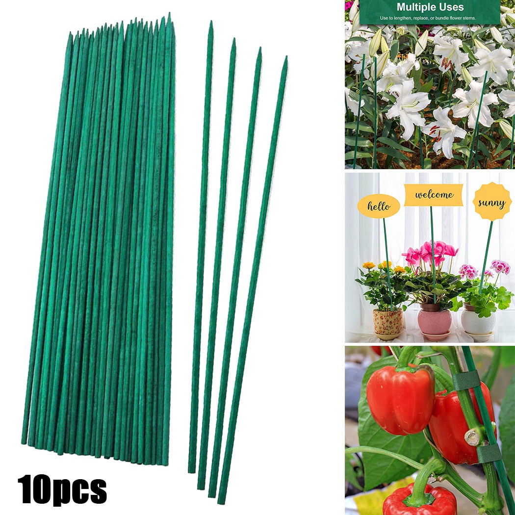 10pcs 40cm Green Plant Support - đánh giá và giá Florist Supp