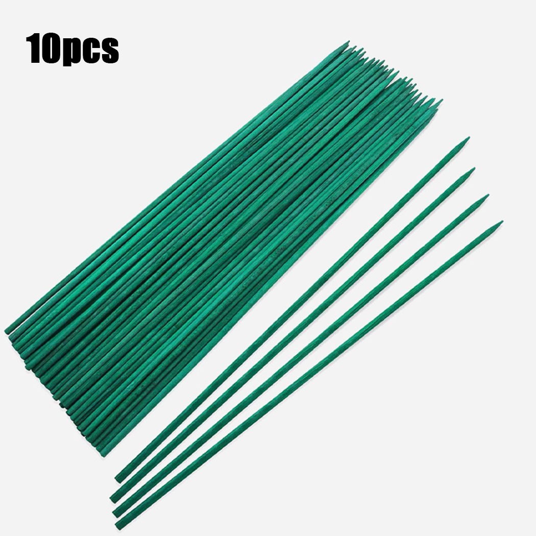 10pcs 40cm Green Plant Support - đánh giá và giá Florist Supp