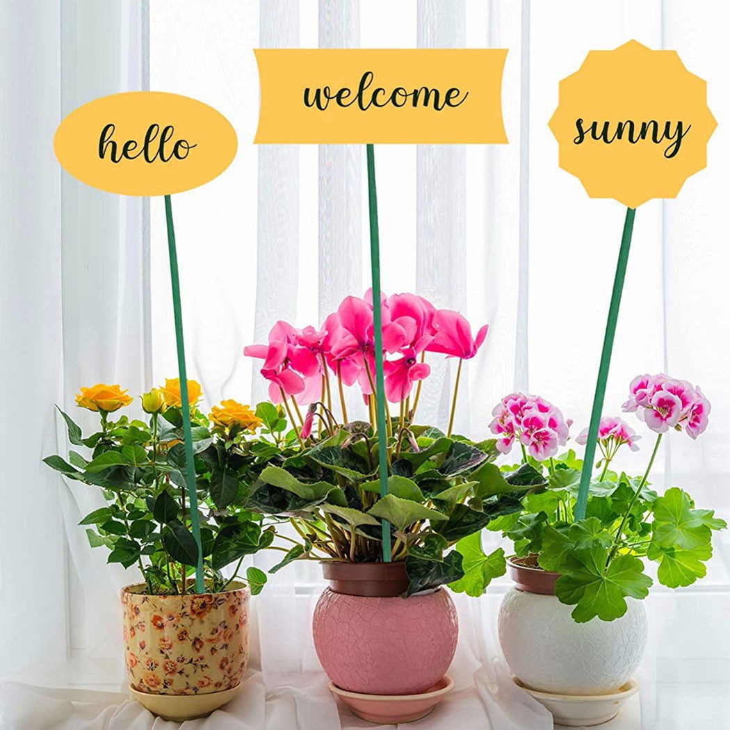 10pcs 40cm Green Plant Support - đánh giá và giá Florist Supp