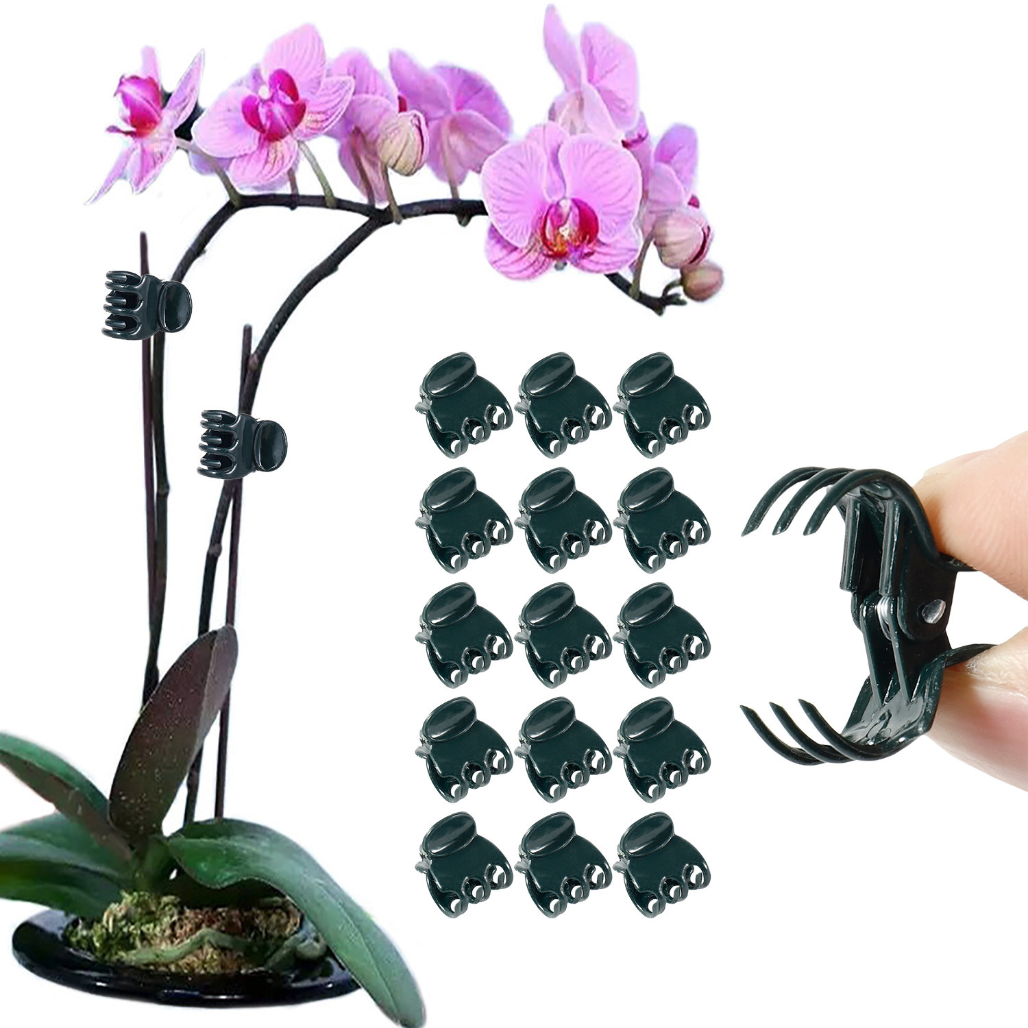 50/100Pcs Plant Clips Butterfl - đánh giá và giá Florist Supp