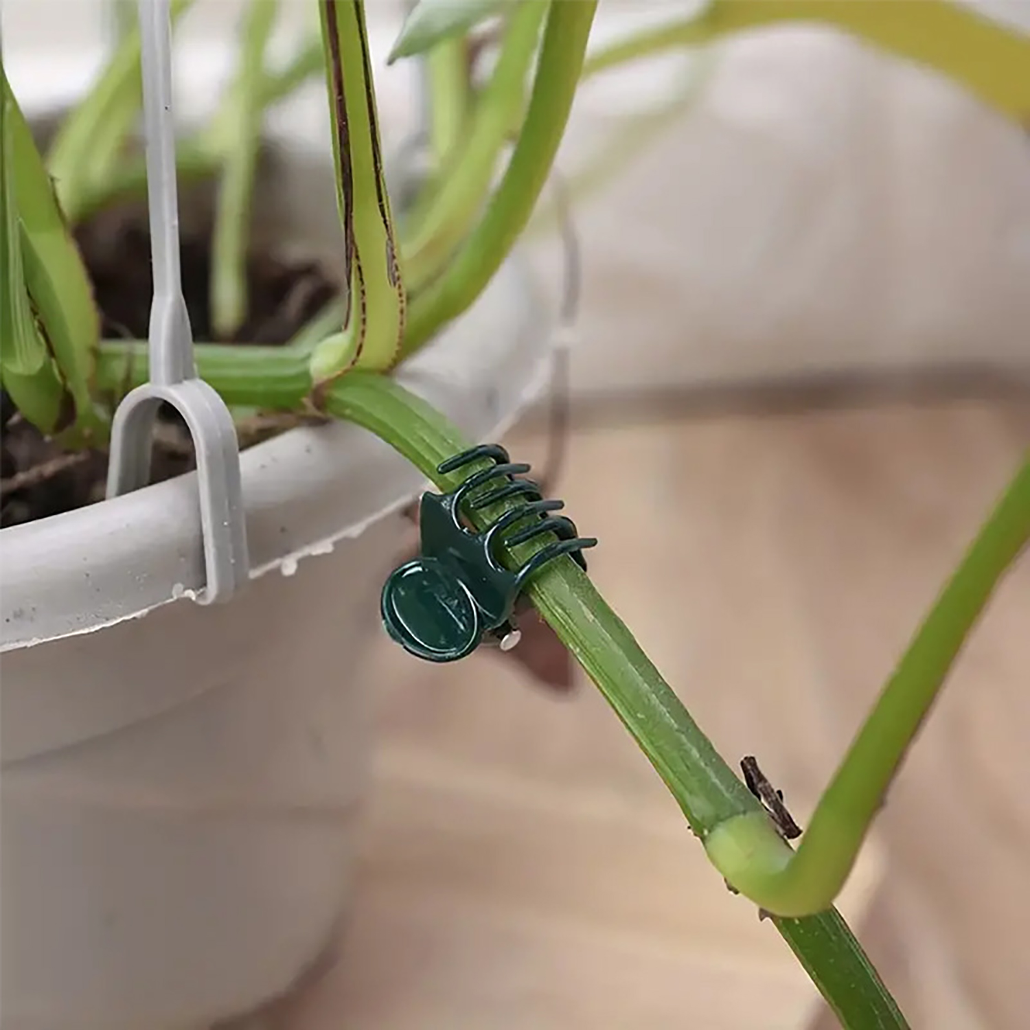 50/100Pcs Plant Clips Butterfl - đánh giá và giá Florist Supp