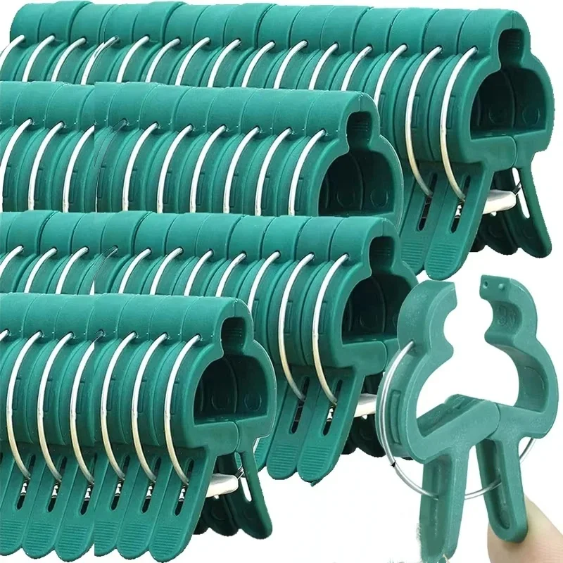 Plant Fixed Clips Reusable Gar - đánh giá và giá Florist Supp