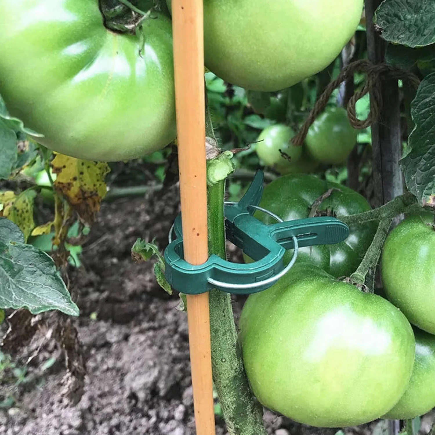 Plant Fixed Clips Reusable Gar - đánh giá và giá Florist Supp