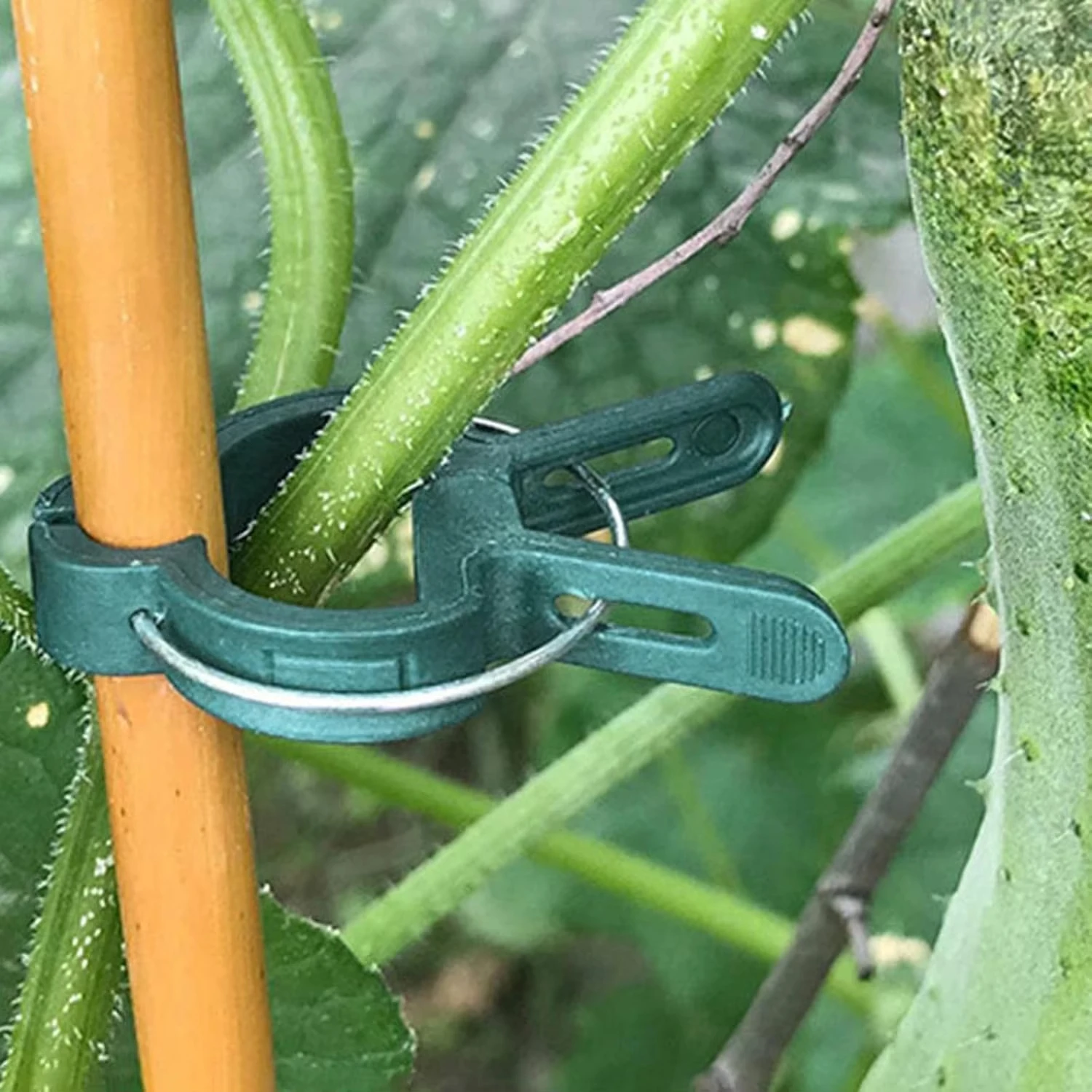 Plant Fixed Clips Reusable Gar - đánh giá và giá Florist Supp