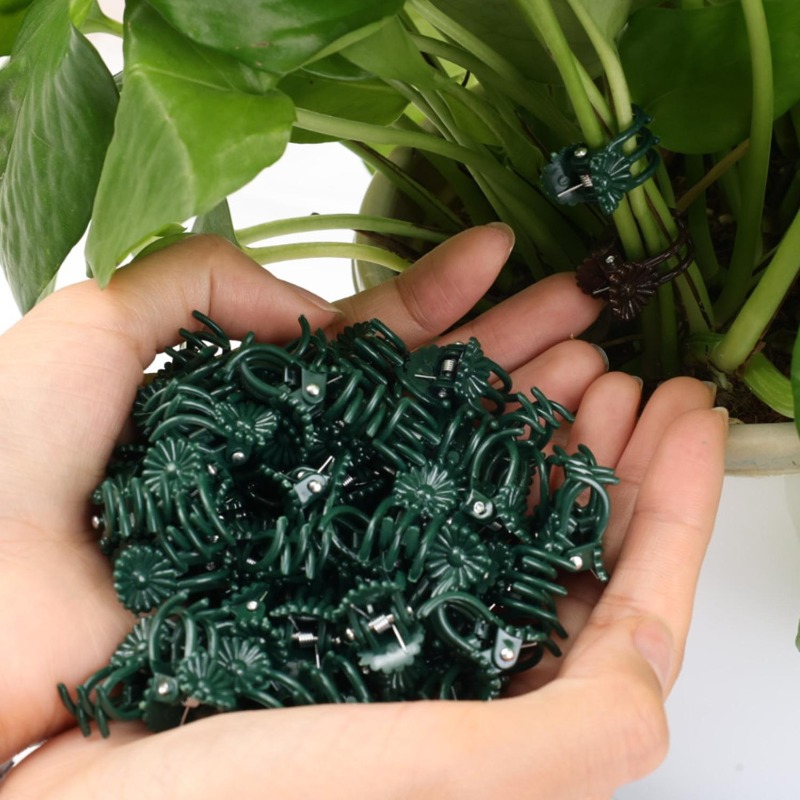 Wholesale Mini Plant Support C - đánh giá và giá Florist Supp