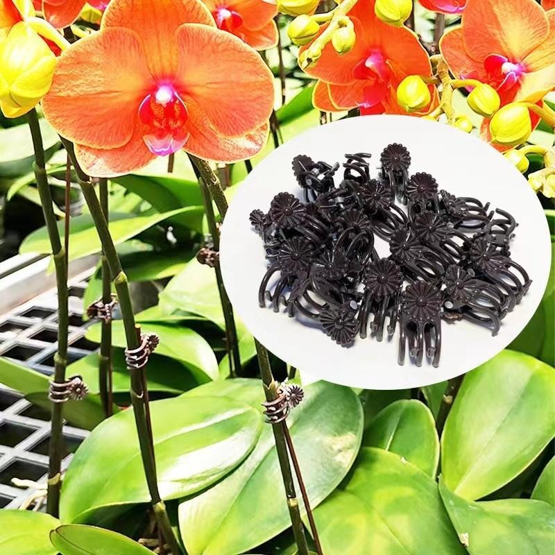 Wholesale Mini Plant Support C - đánh giá và giá Florist Supp