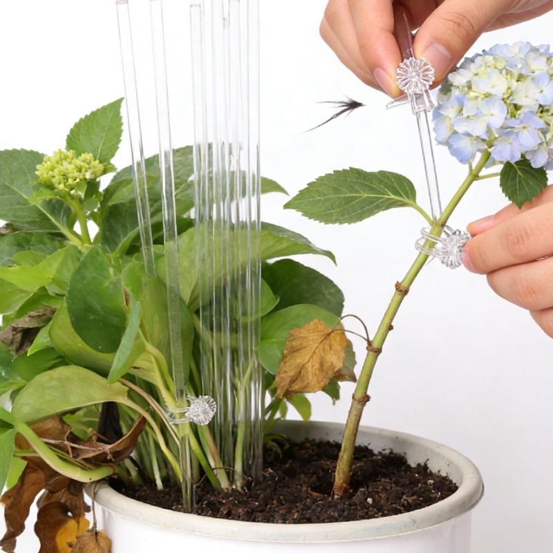 Acrylic Plant Support Stakes C - đánh giá và giá Florist Supp