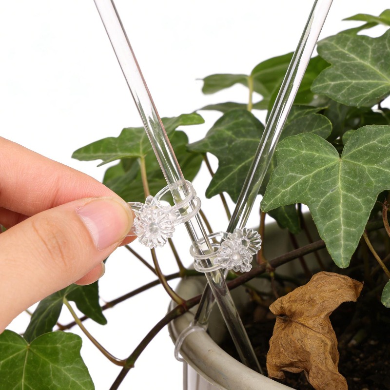 Acrylic Plant Support Stakes C - đánh giá và giá Florist Supp