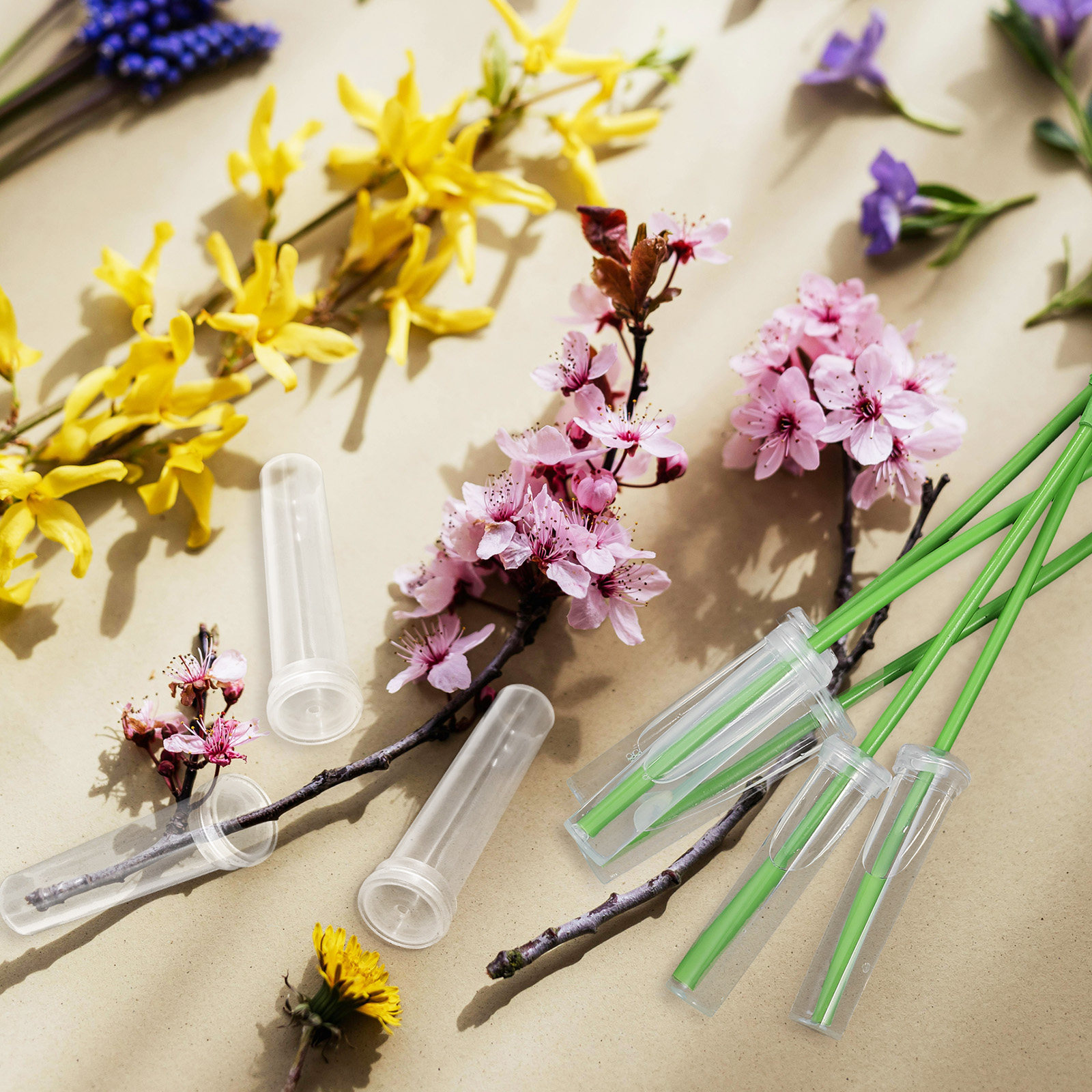 100Pcs Flower Water Tubes Univ - đánh giá và giá Easy Florist Supply