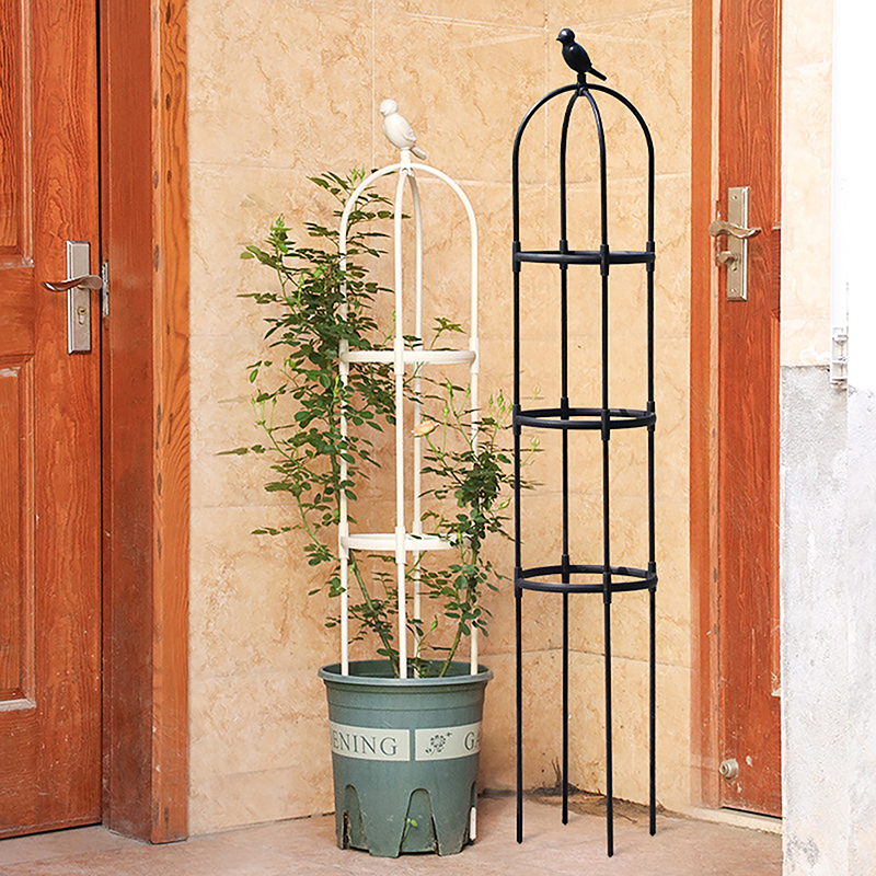 C 1Set Climbing Plant Trellis  - đánh giá và giá Florist Supp