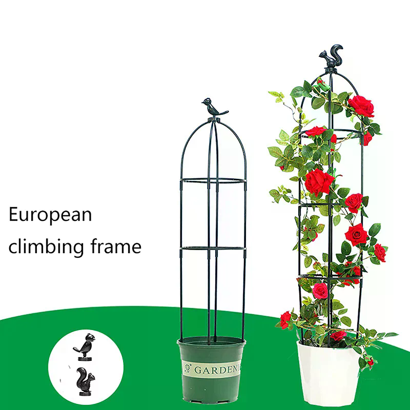 1Set Climbing Plant Trellis Ga - đánh giá và giá Florist Supp