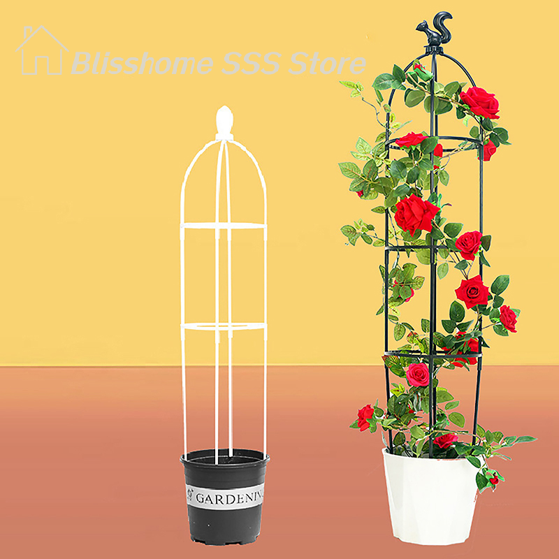 【S】1Set Climbing Plant Trellis - đánh giá và giá Florist Supp