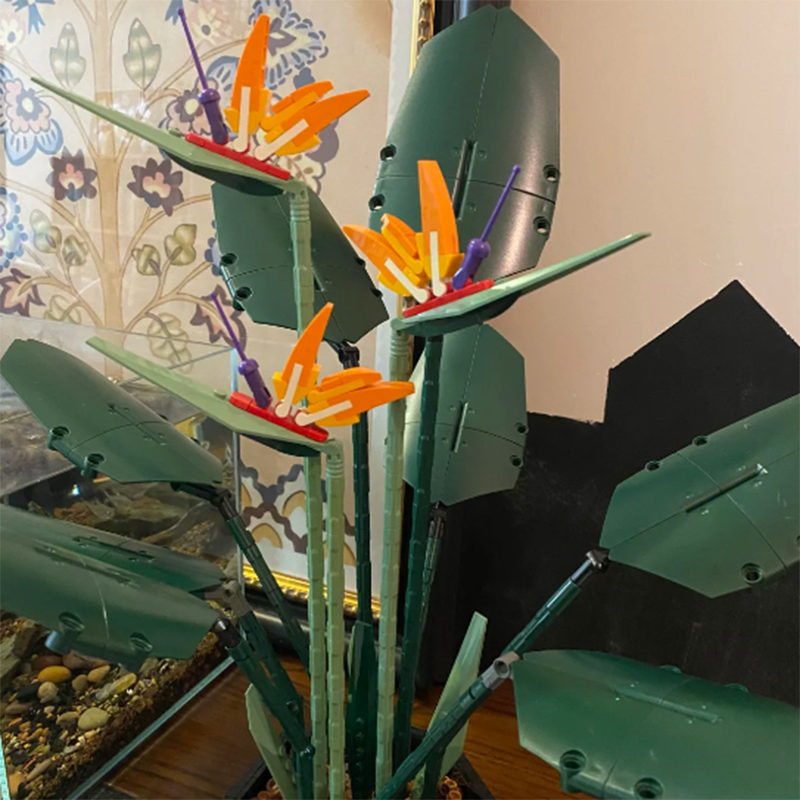1378PCS Paradise Bird Potted P - đánh giá và giá Florist Supp