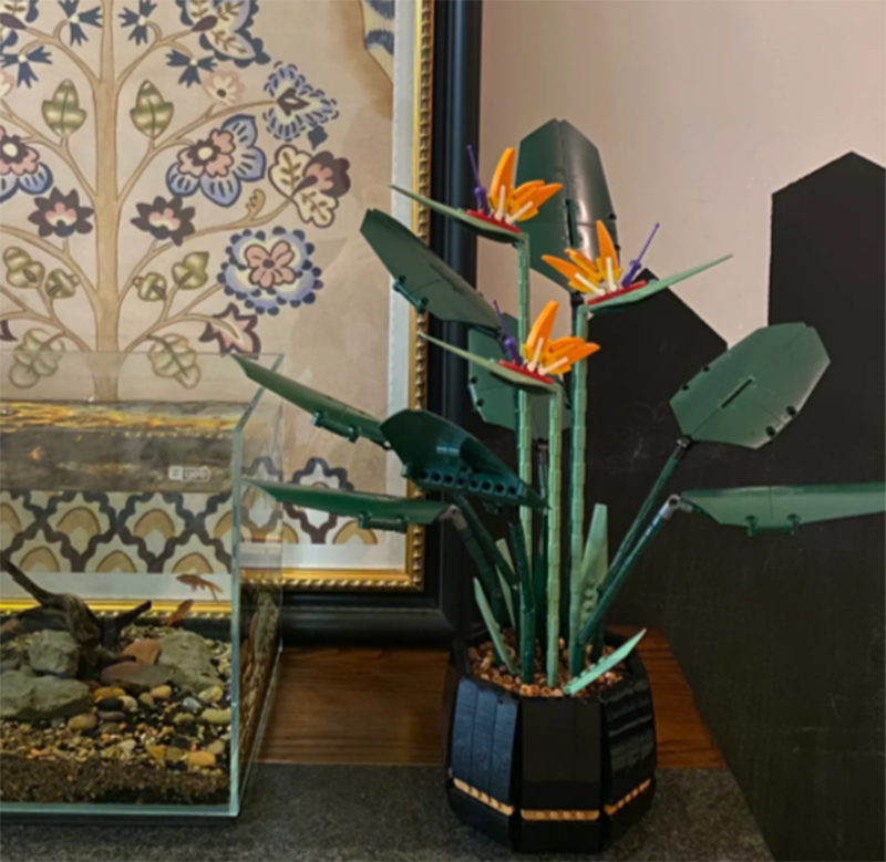 1378PCS Paradise Bird Potted P - đánh giá và giá Florist Supp